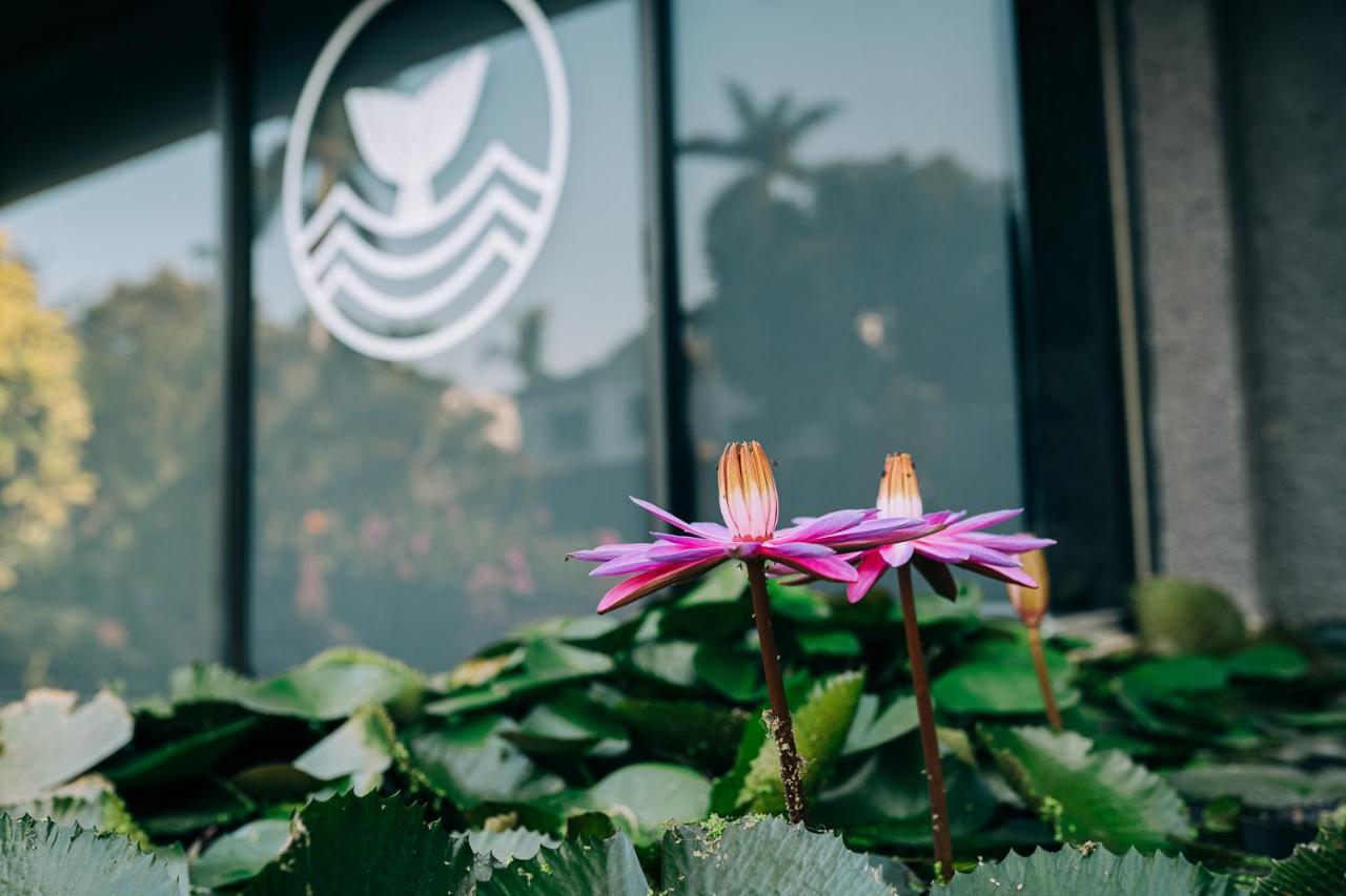 Casa Sirena Hotel Ixtapa  Exterior photo